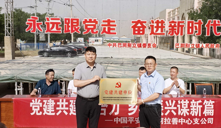 平安财险阿拉善中支“乡风文明100活动”走进巴润别立镇岗格嘎查
