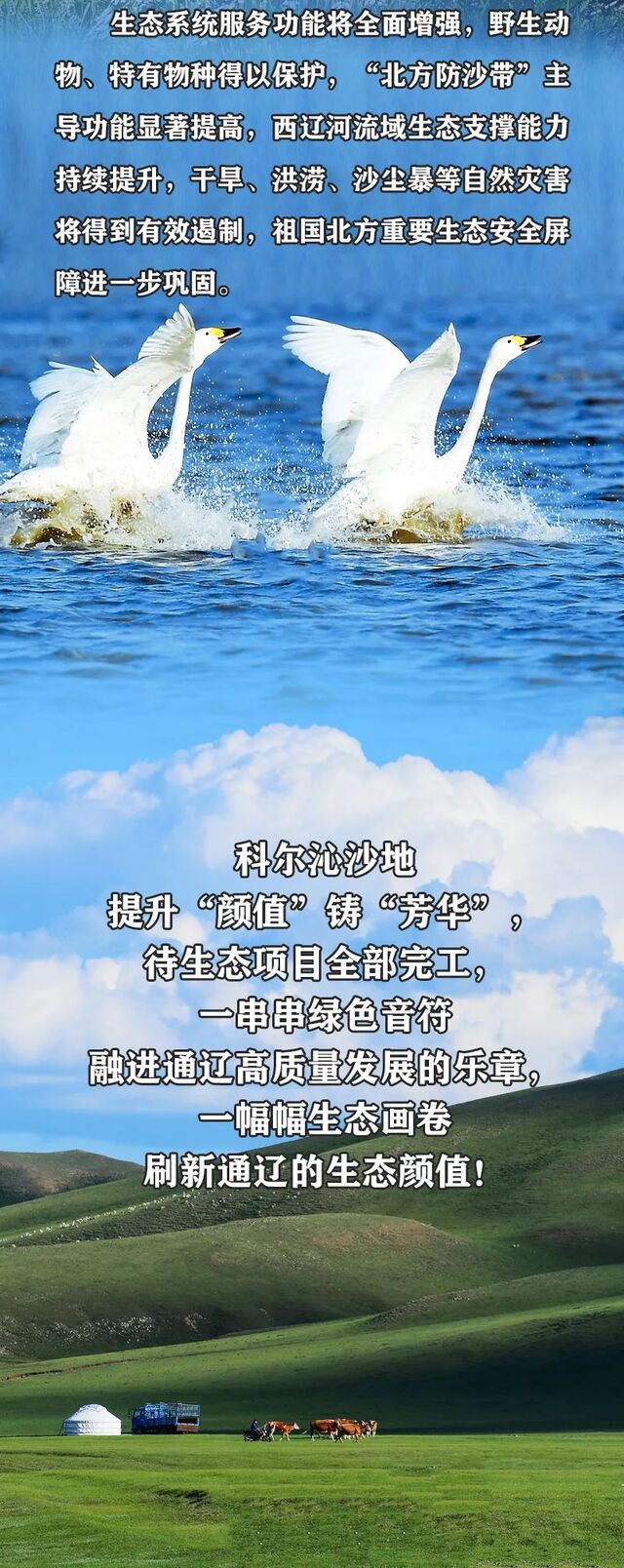 0927534020929487.jpeg