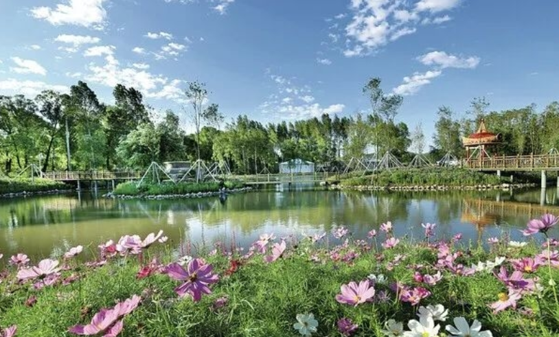 微信截图_20220719101124.png