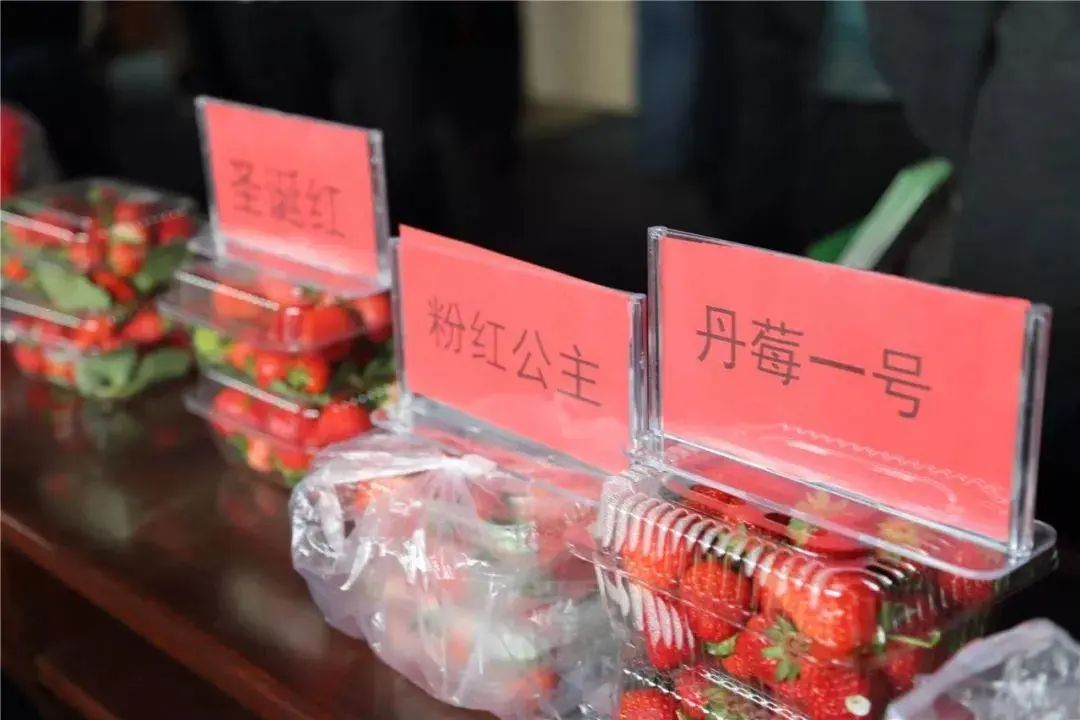 微信图片_20230316112810.jpg