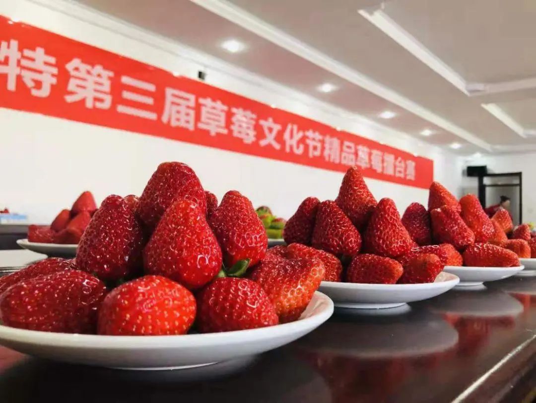 微信图片_20230316113056.jpg