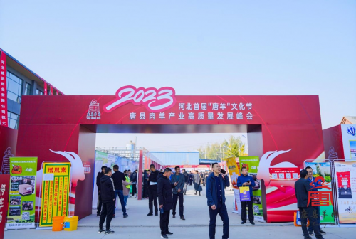 2023河北首届“唐羊”文化节 唐县肉羊产业高质量发展峰会成功举办第2张