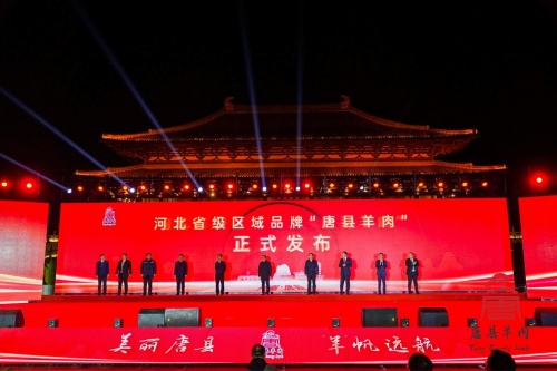2023河北首届“唐羊”文化节 唐县肉羊产业高质量发展峰会成功举办第9张