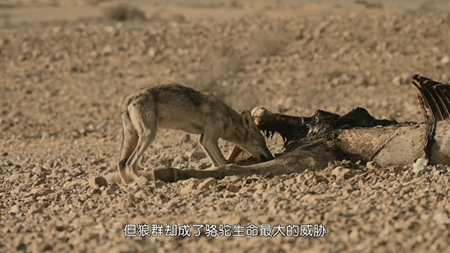 图片10.png