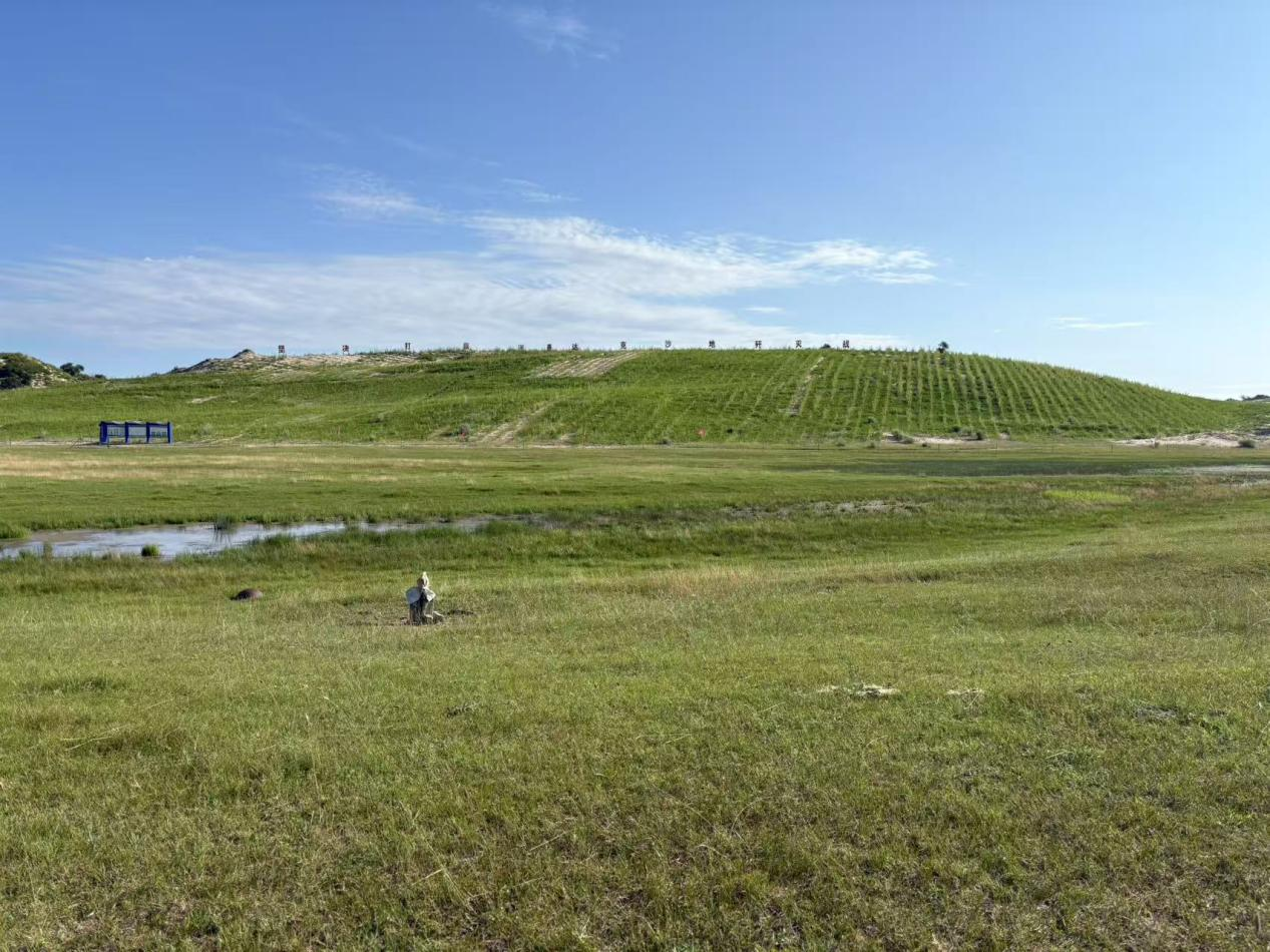 一粒种子的扎根：蒙草生态为浑善达克治理“开良方”