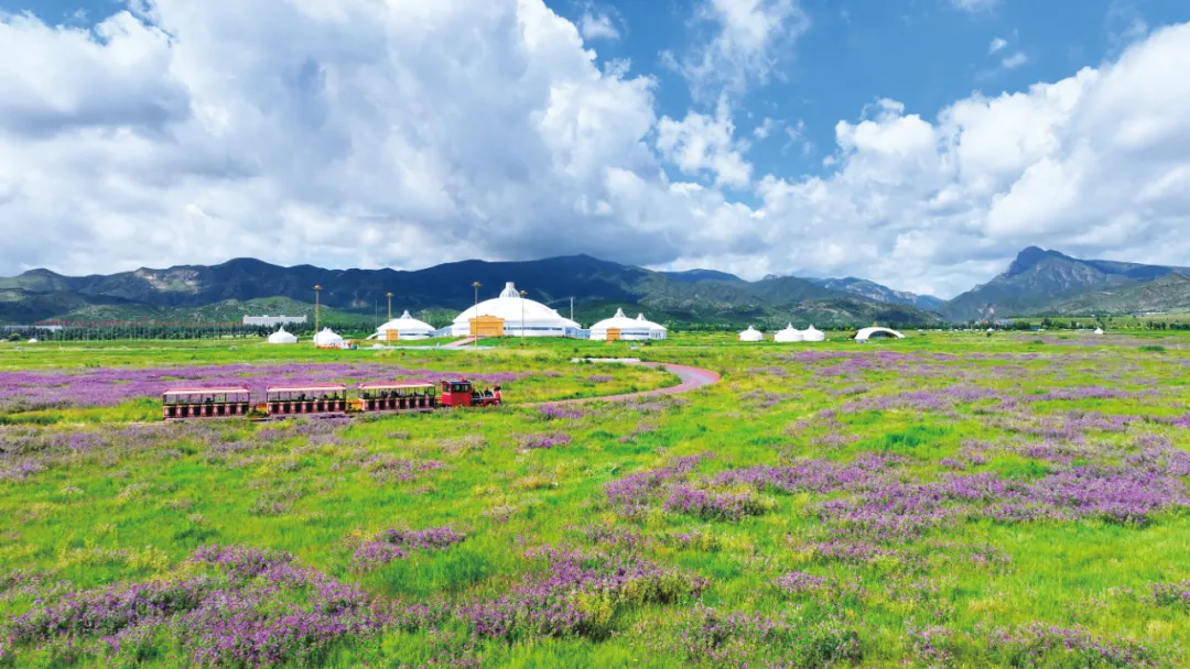 草原添新绿：蒙草生态为草原提供“一站式”治理方案