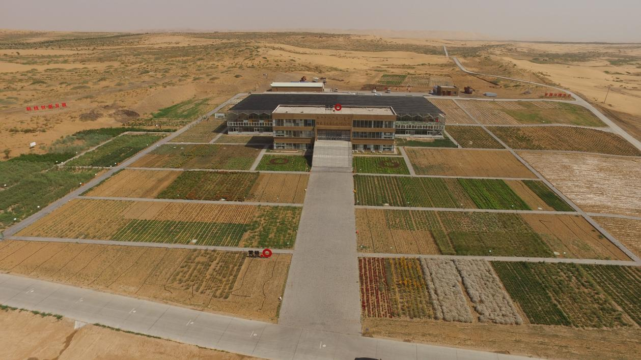 从种到管全链创新 蒙草生态“种技机管”体系助力“三北”攻坚