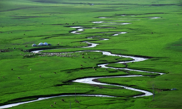 20200526152153fFxm (1).jpg