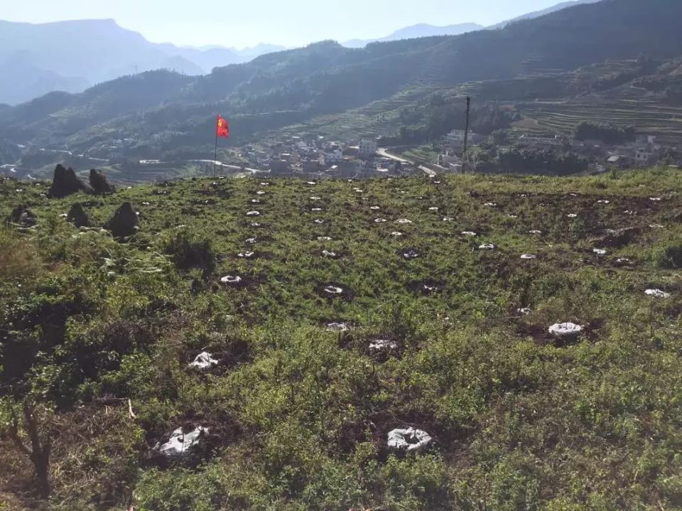 贵州盘县石漠化治理工程现场.jpg