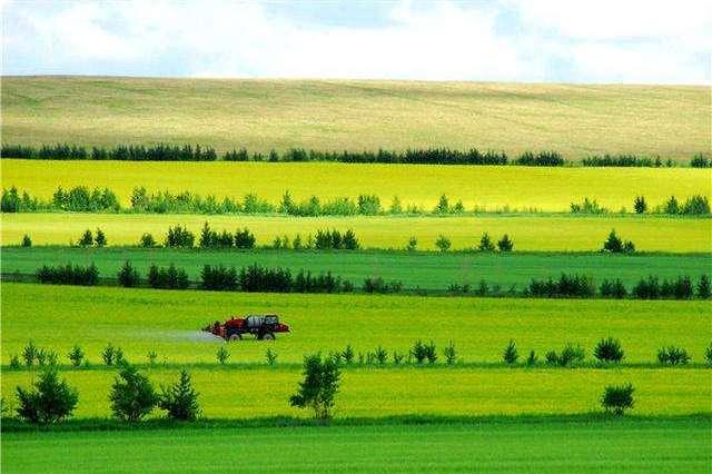 1596093306321560.jpg 微信图片_20200730151324.jpg