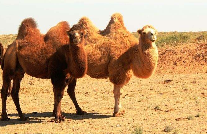 1596161178546857.png 微信图片_20200731100528.png