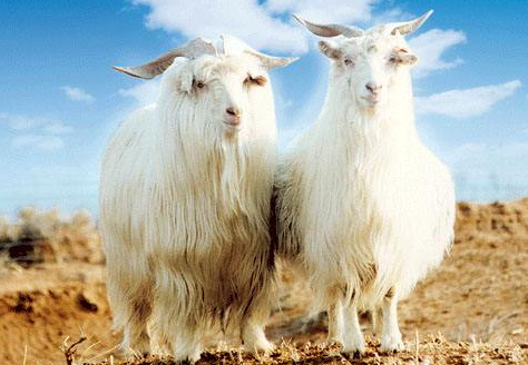 1596161208434692.png 微信图片_20200731100532.png