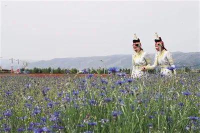 1596163479836275.jpeg 121.jpeg