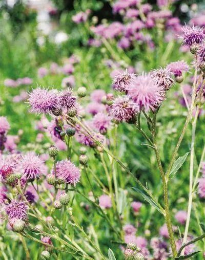 1596163521113553.jpeg 124.jpeg