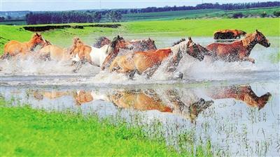 1596606992633201.jpg 微信图片_20200805135227.jpg