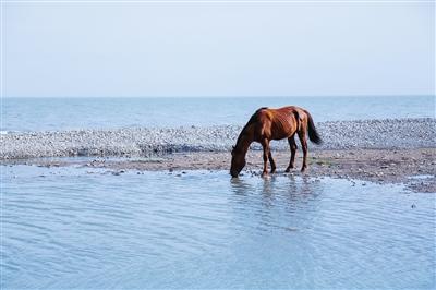 1596607011763207.jpg 微信图片_20200805135324.jpg