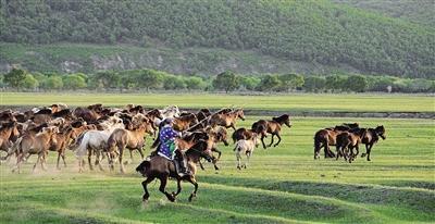 1596607027210294.jpg 微信图片_20200805135327.jpg