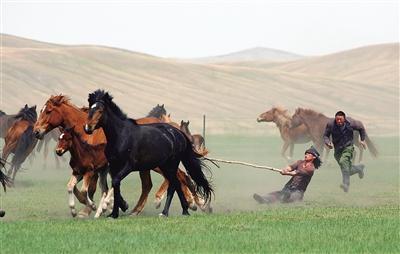 1596607044760972.jpg 微信图片_20200805135330.jpg