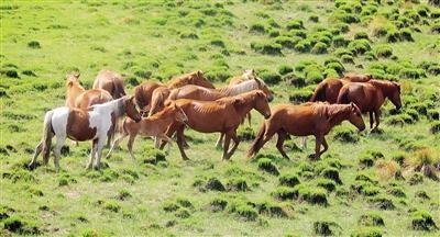 1596607059562598.jpg 微信图片_20200805135333.jpg