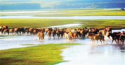 1596607077758470.jpg 微信图片_20200805135336.jpg