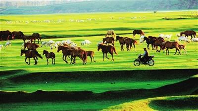 1596607096813697.jpg 微信图片_20200805135339.jpg