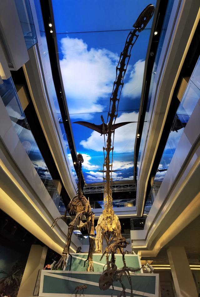 1596694918217981.jpg 微信图片_20200806141756.jpg