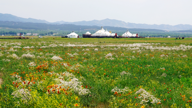 1597302838910417.png 20200812152139xTOh.png