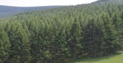 1597387988535452.jpg 微信图片_20200814144848.jpg