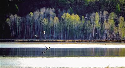 1597388035367187.jpg 微信图片_20200814144954.jpg