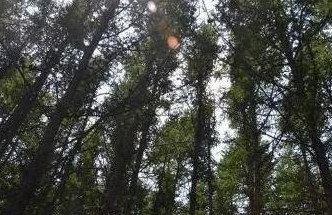 1597388084281780.jpg 微信图片_20200814145042.jpg