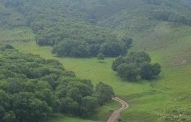 1597388183699648.jpg 微信图片_20200814145223.jpg