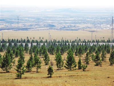 1597651685364706.jpeg 5635faa536e89a1d991140bccee71441.jpeg