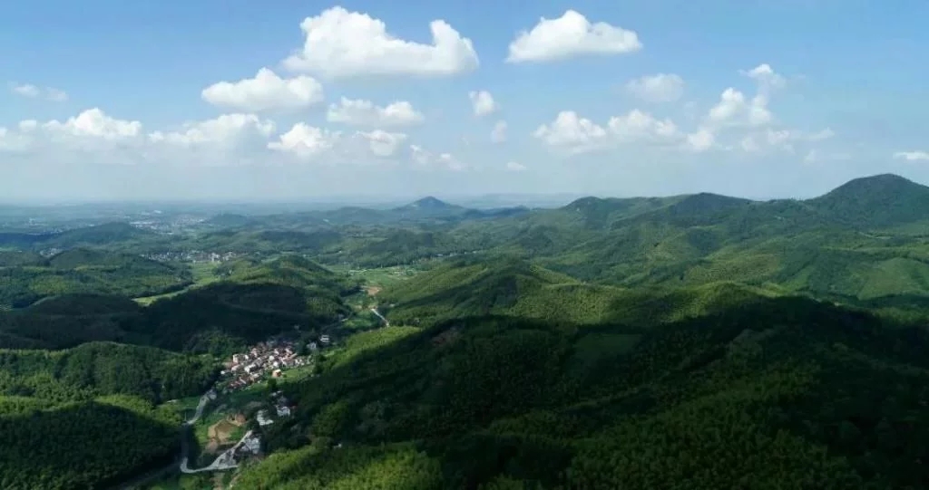 1597732624394714.jpg t01c3596ff6adb05be8.webp.jpg