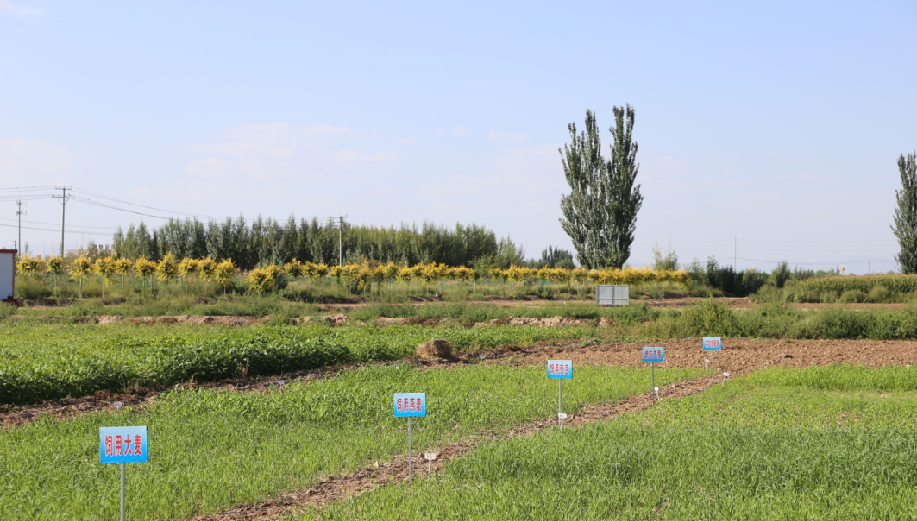 1599028409982860.png 1126439302_15989454792151n.png