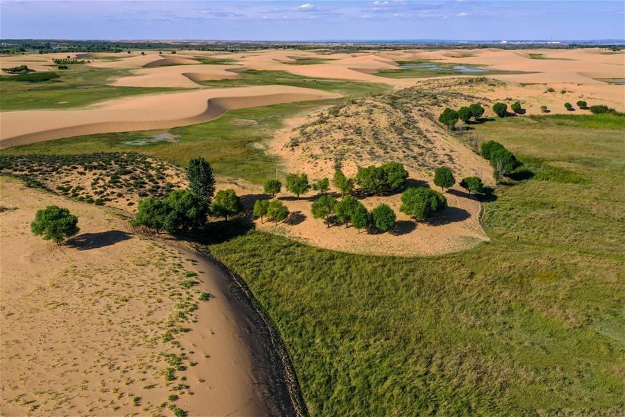 1601344864140170.jpg 1.jpg