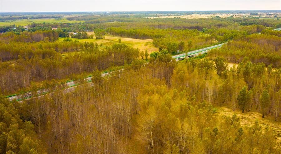 1601344898190213.jpg 3.jpg