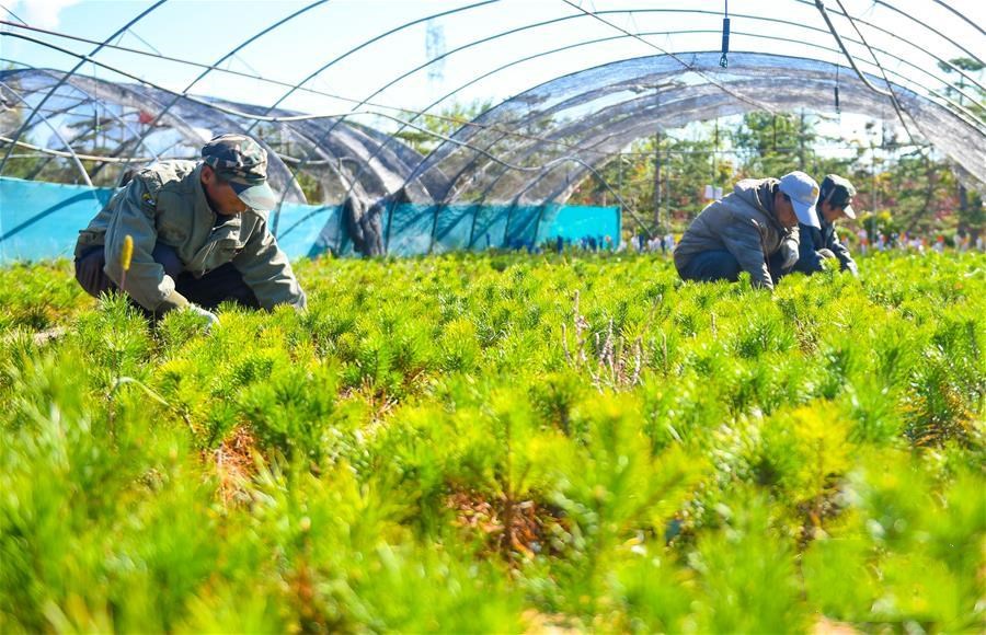 1601344914555987.jpg 4.jpg