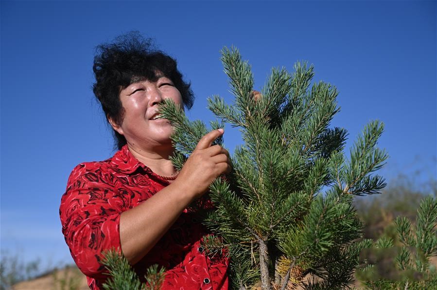 1601344929970405.jpg 5.jpg