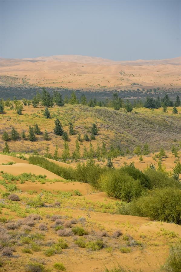 1601344947589023.jpg 6.jpg