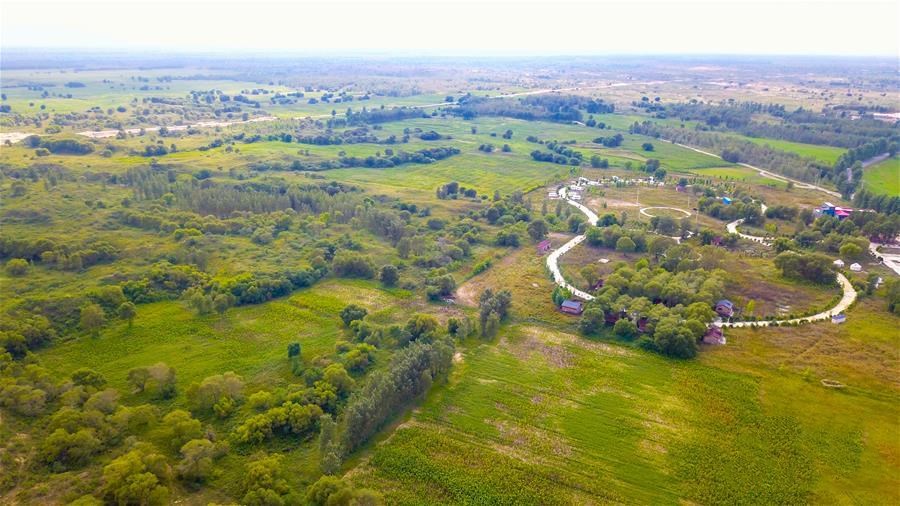 1601344960281655.jpg 7.jpg