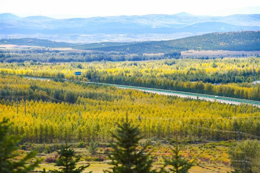 1601344982687772.jpg 8.jpg