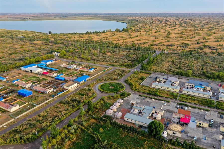 1601344994457274.jpg 9.jpg