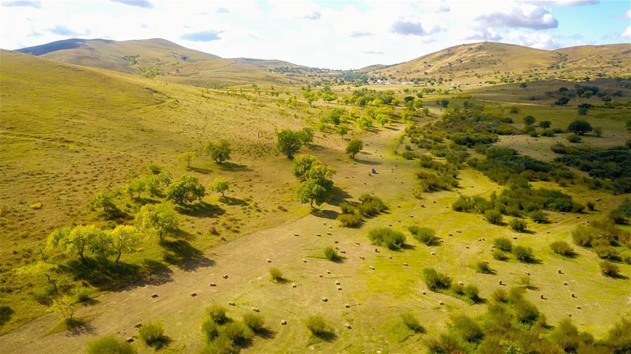 1601345012530311.jpg 0.jpg