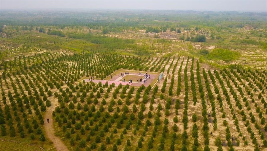 1601345031380441.jpg 11.jpg