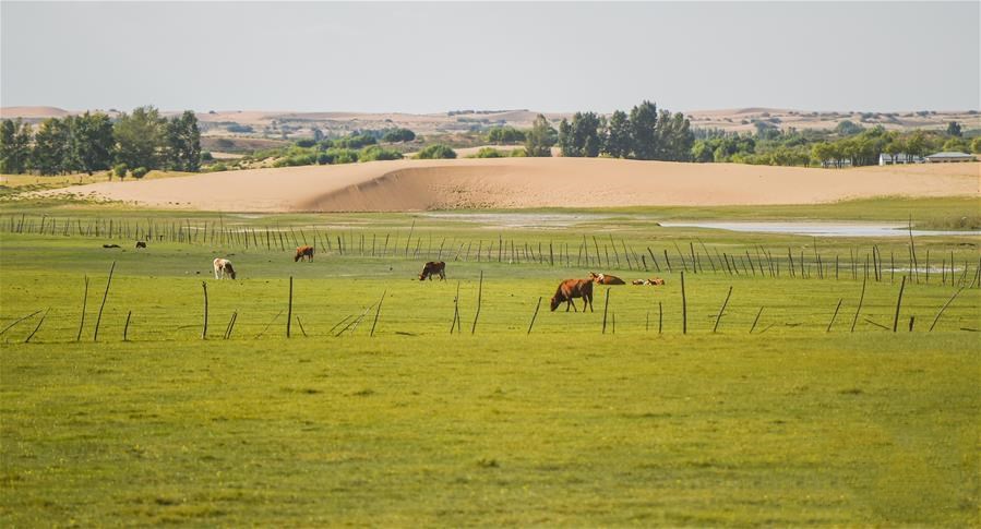 1601345048618582.jpg 12.jpg