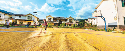 1601435235475394.jpg 1601414127777_1.jpg