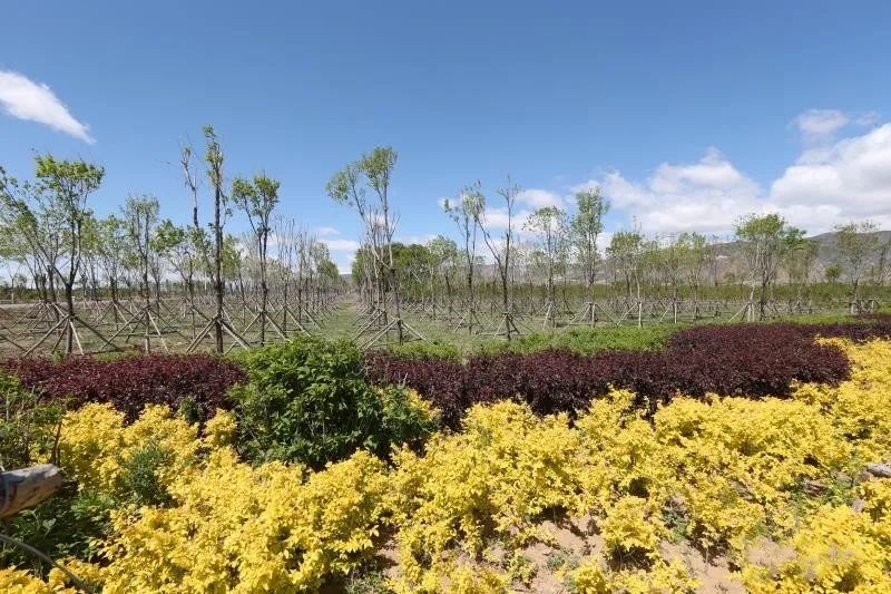 1602314076362639.jpg 112.jpg