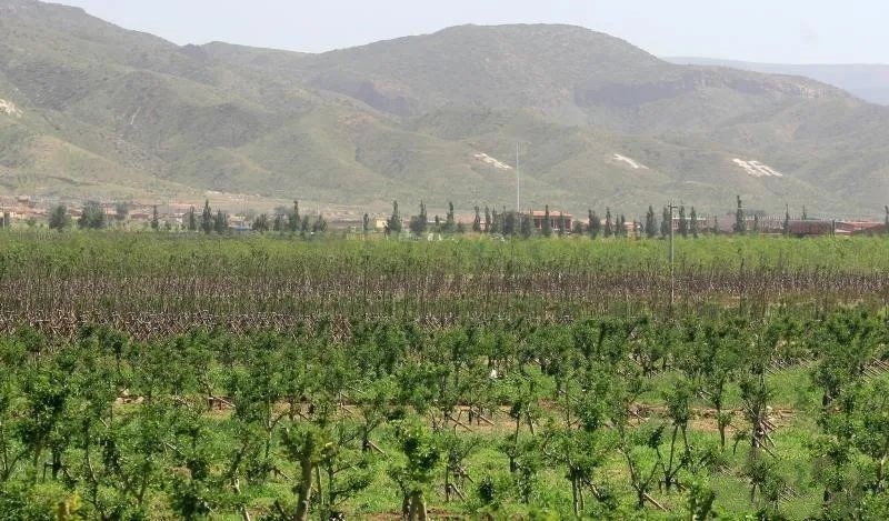 1602314095123951.jpg 113.jpg