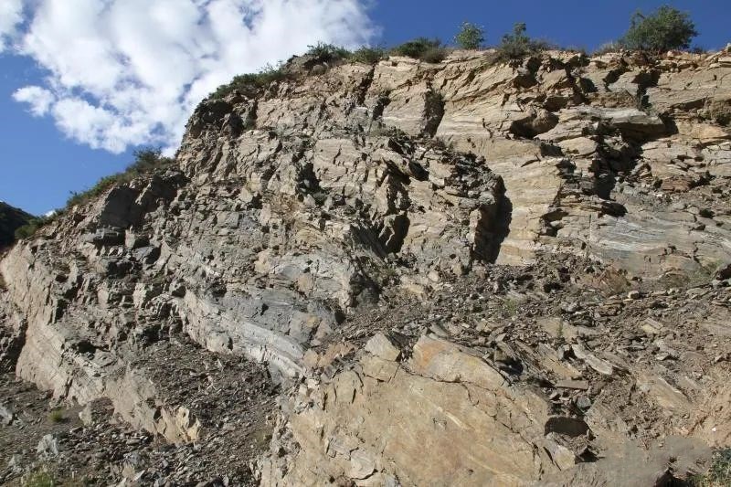 1602314164678084.jpg 115.jpg