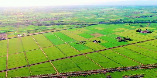 1602484895191056.jpg 2.jpg